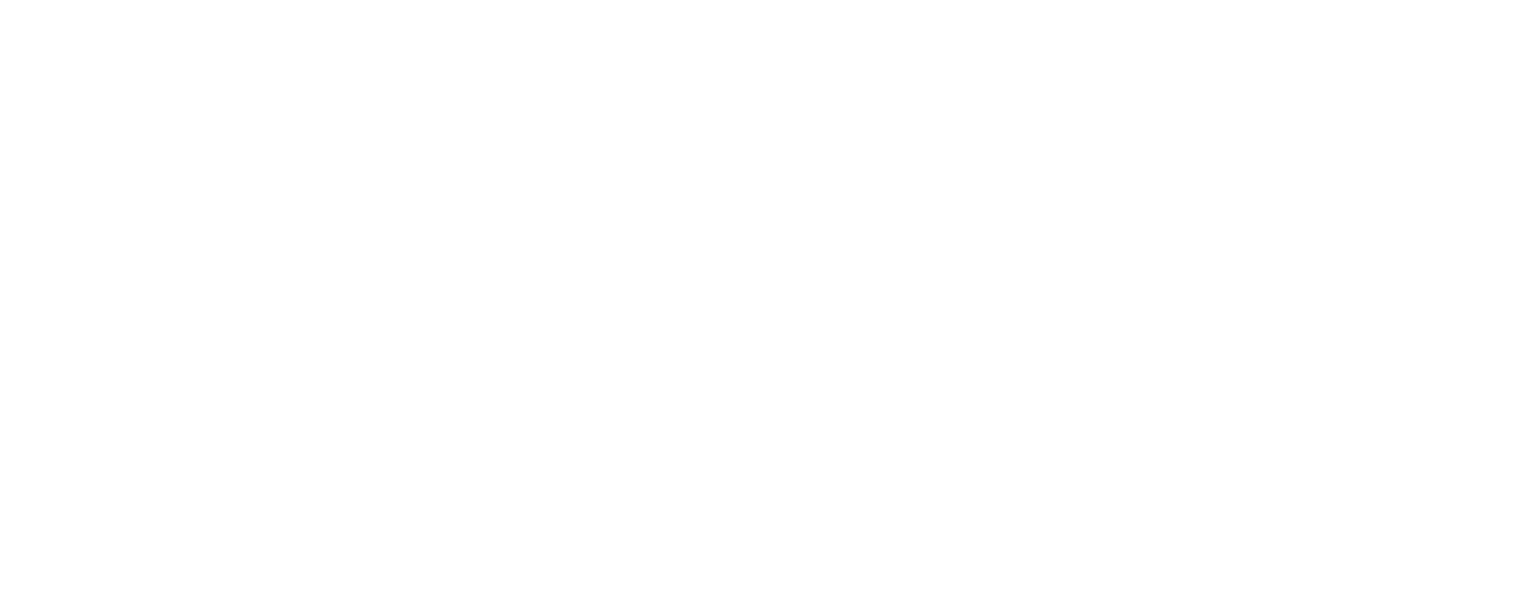 Логотип Choice of Life: Middle Ages