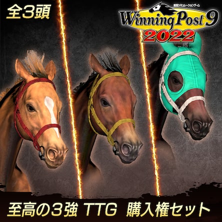 Amazon.co.jp: 【PS4】Winning Post 9 2022 : ゲーム