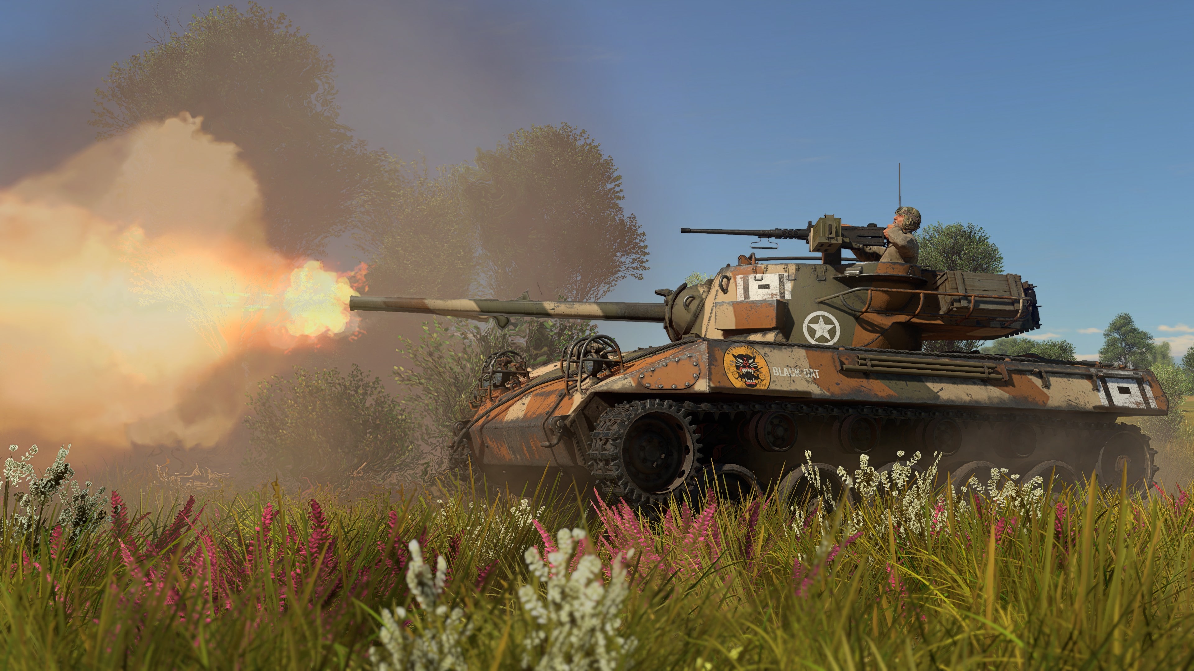 War Thunder — A43 Black Prince on PS4 PS5 — price history
