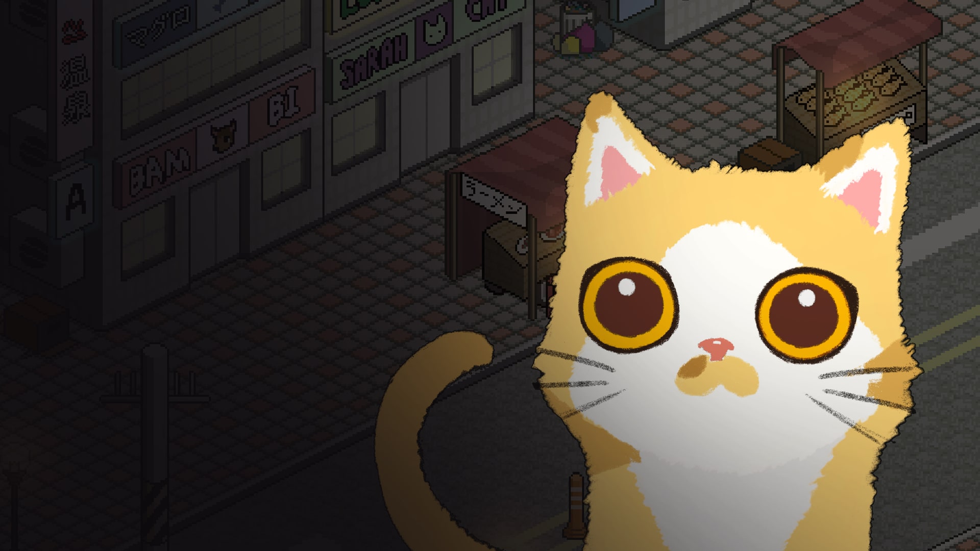 のらねこものがたり(のらねこ物語)