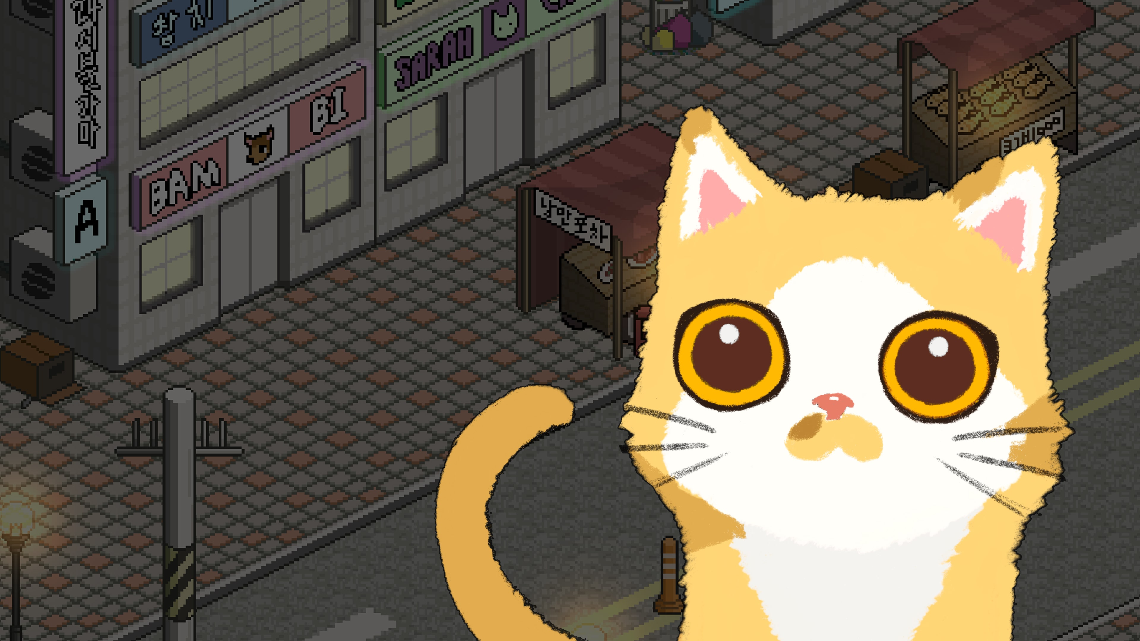 A Street Cat's Tale (O conto de um gato de rua)
