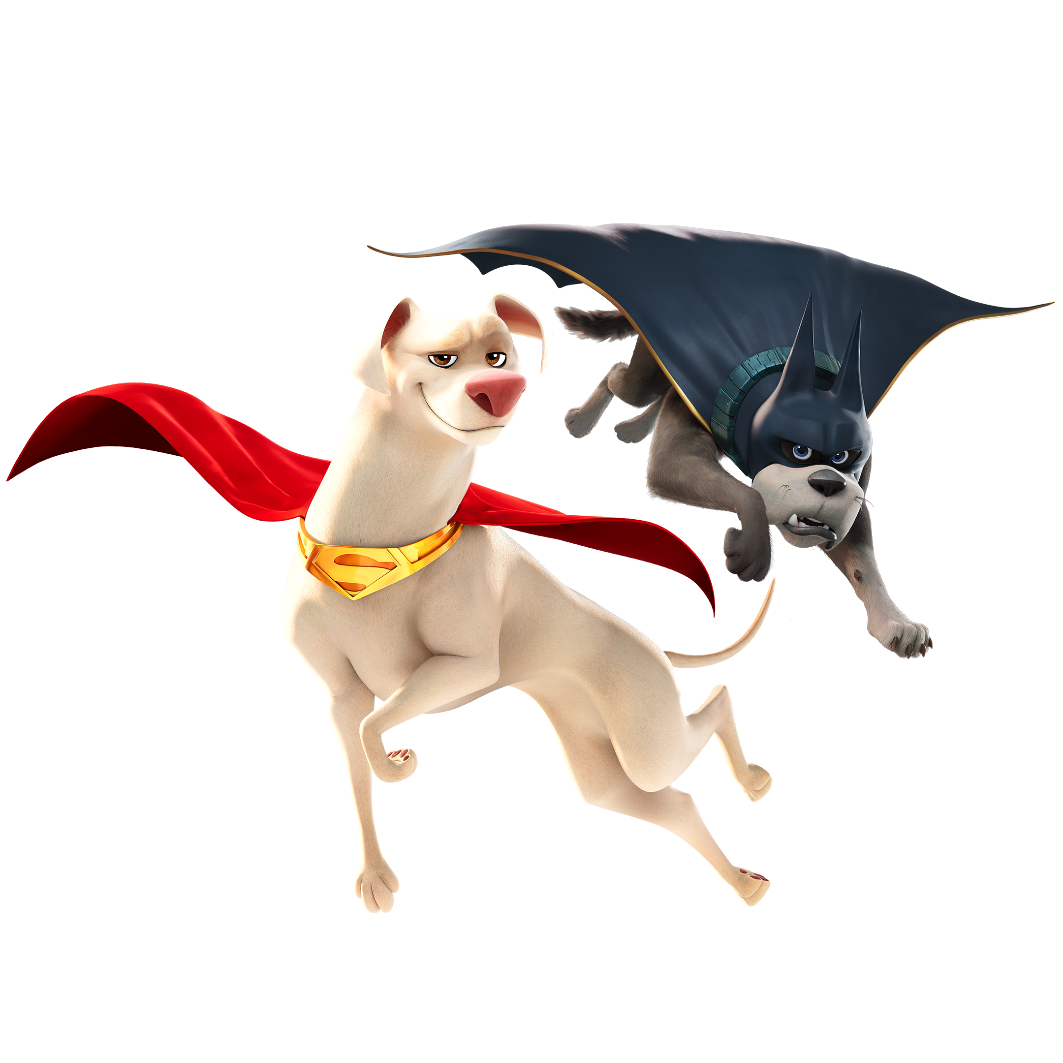 DC League of Super-Pets: The Adventures of Krypto and Ace