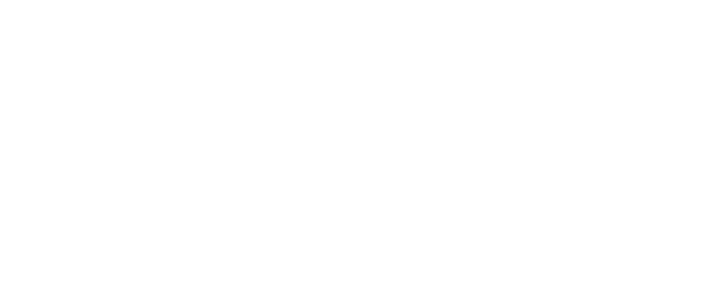 Dungeon Defenders: Awakened