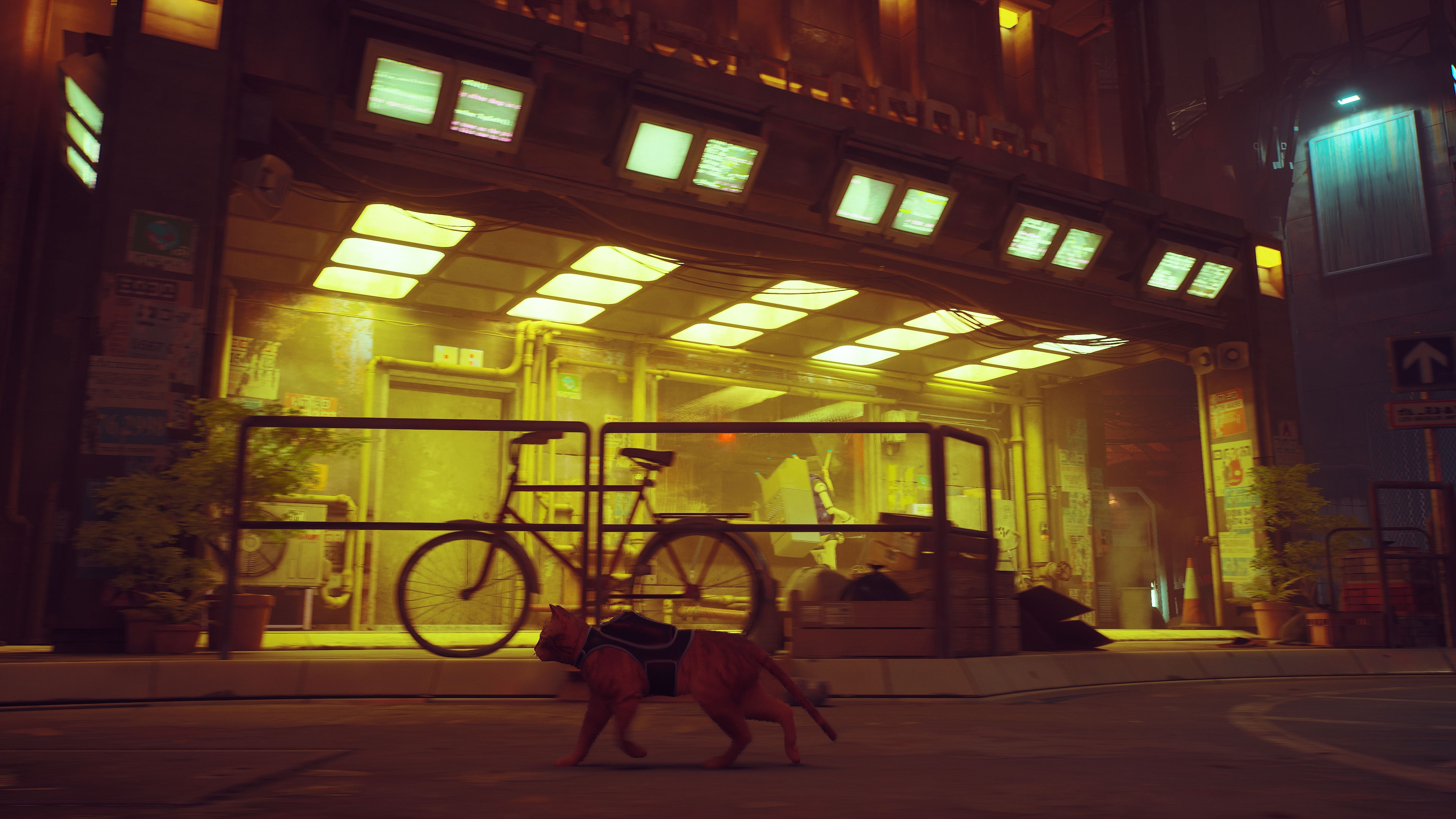 The New PlayStation 5 Game 'Stray' Lets You Be A Mystery Solving Cat In A  Neon-Lit Cyberpunk City