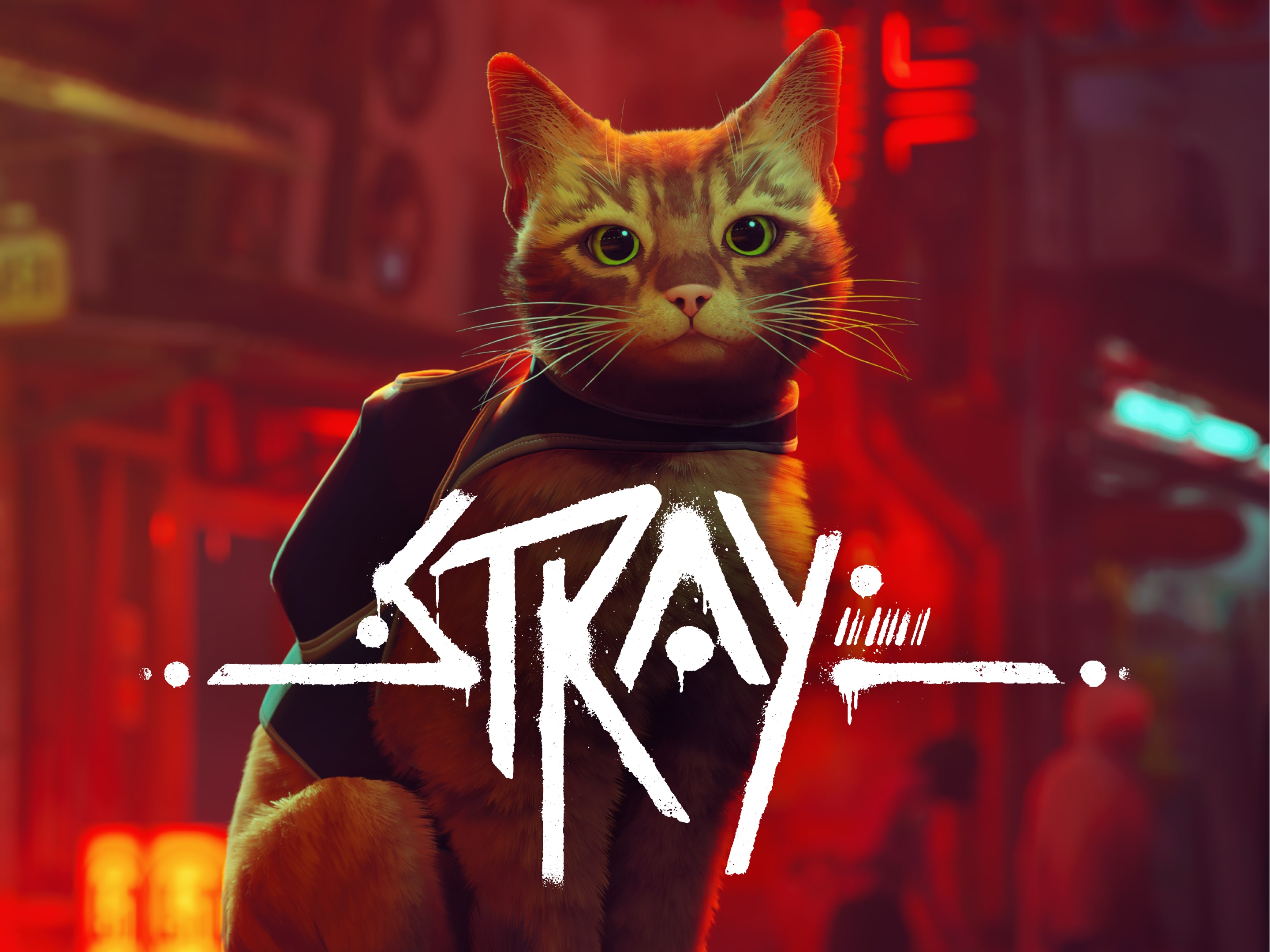 STRAY - PS4 DIGITAL - Comprar en Play For Fun