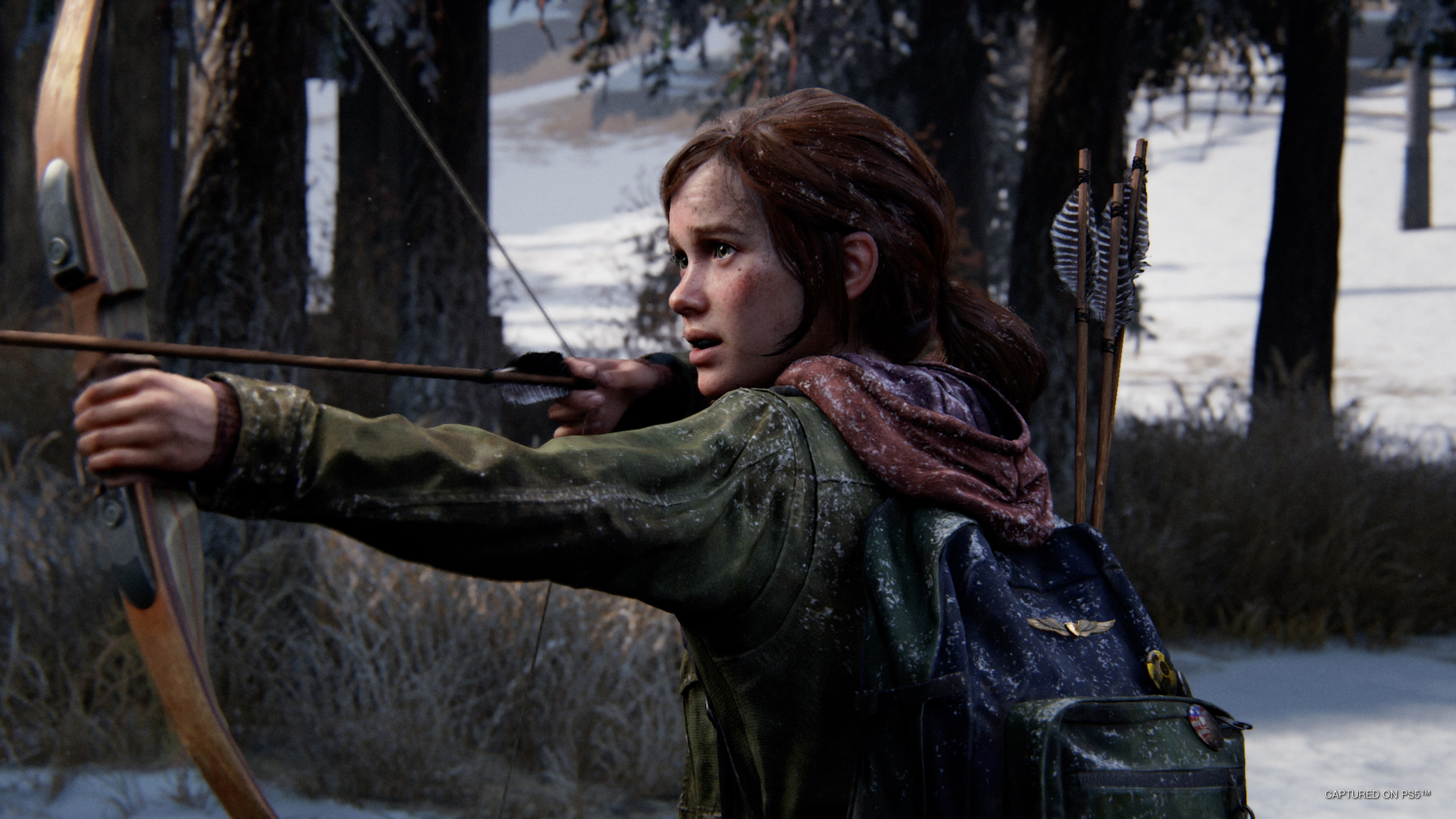 The Last Of Us Remastered on PS4 — price history, screenshots, discounts •  USA