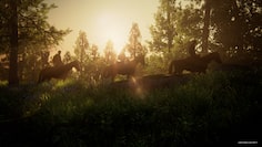 screenshot9