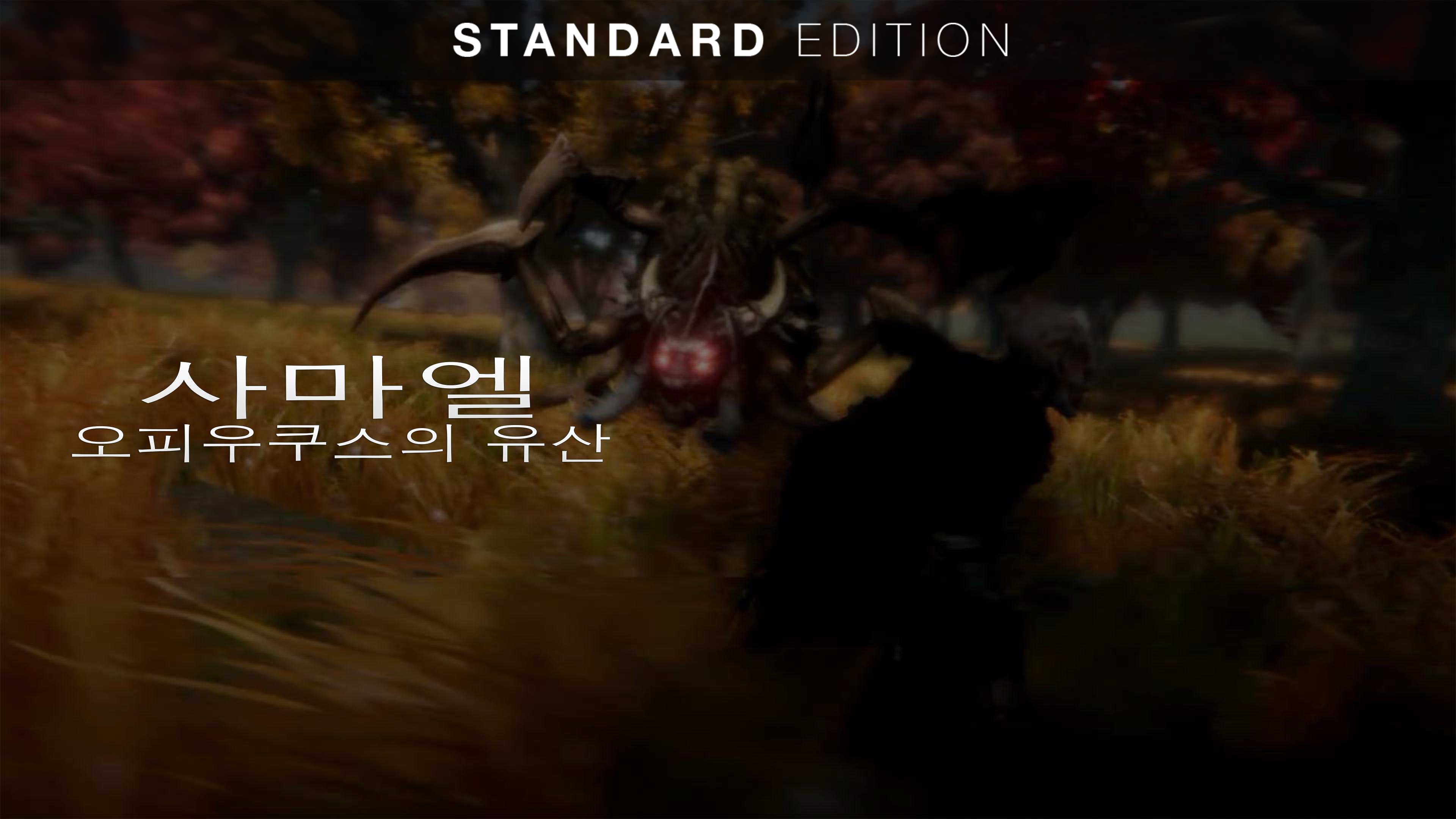 스탠다드 에디션