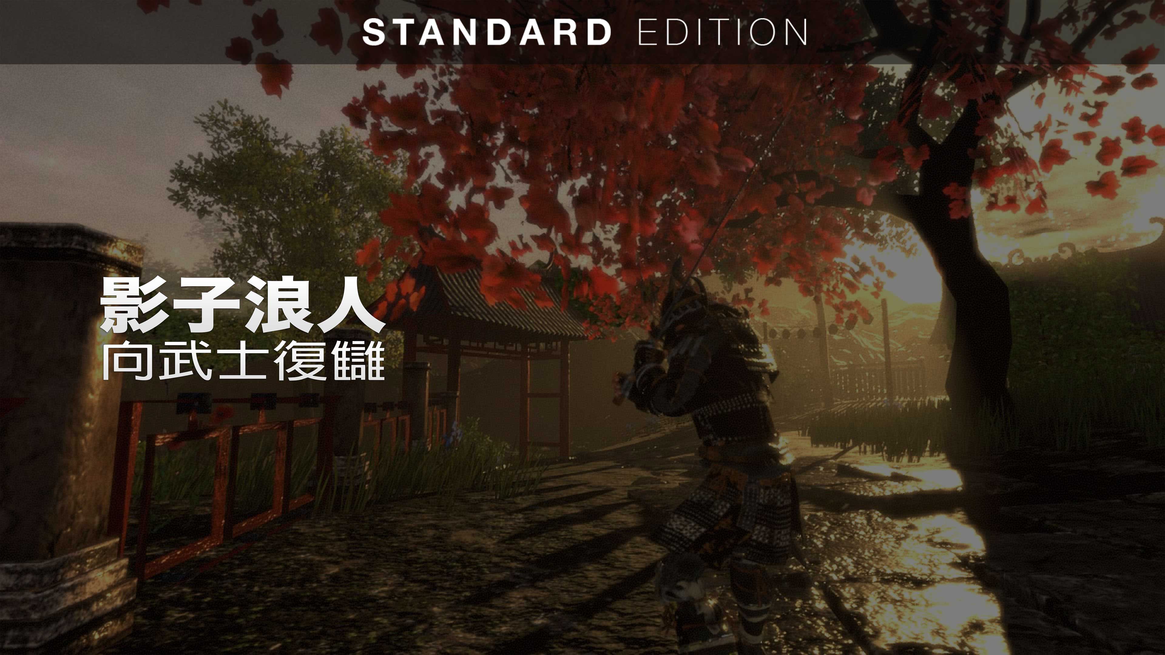 標準版