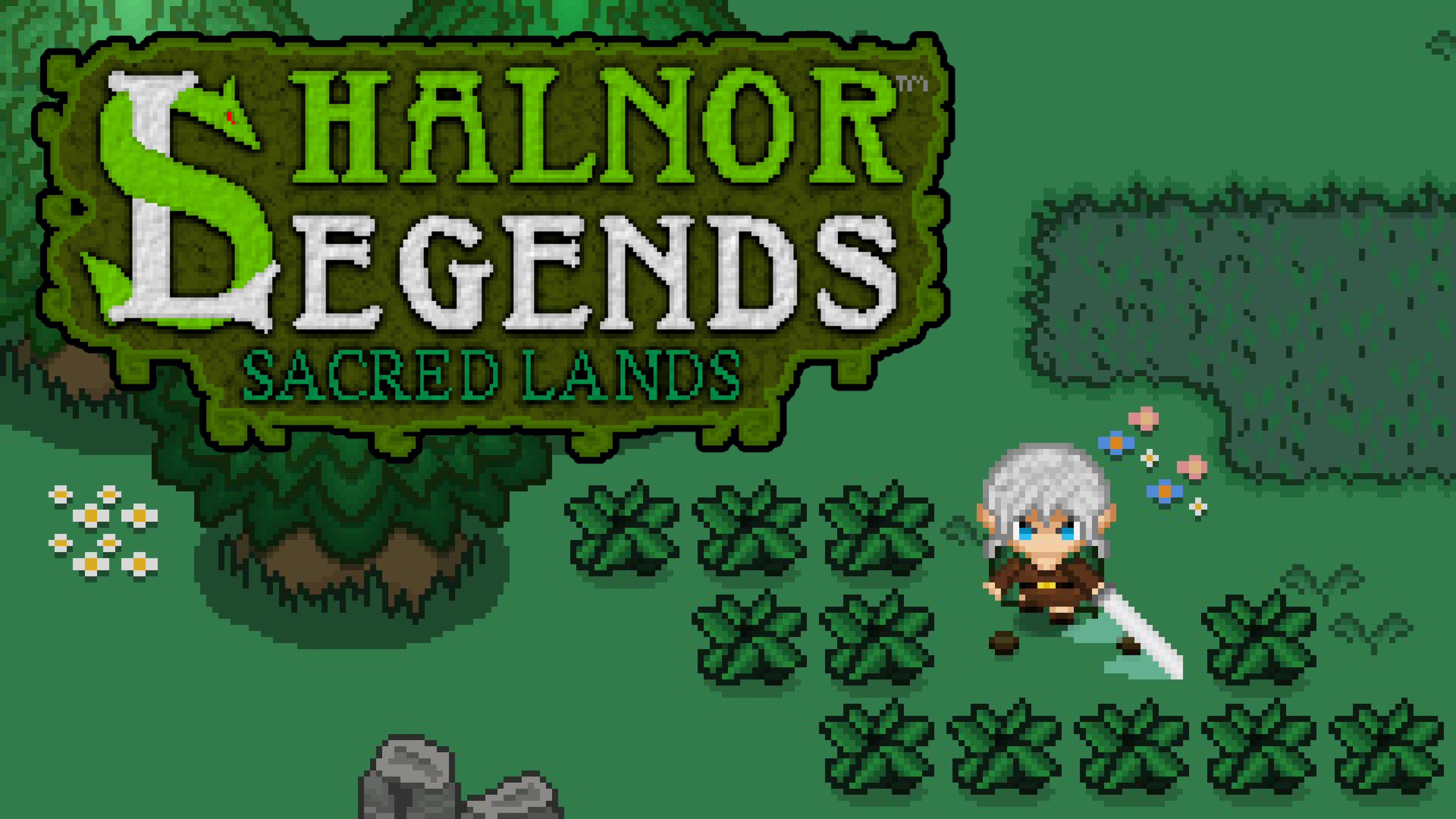 Shalnor Legends: Sacred Lands