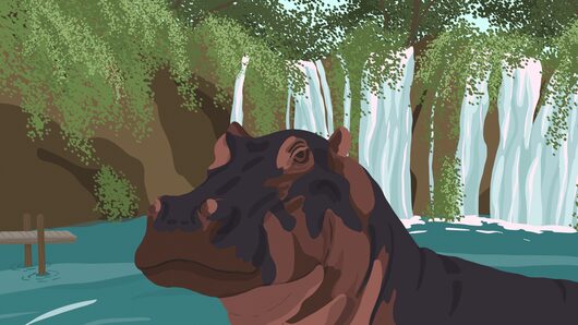 The Hippo G for playstation