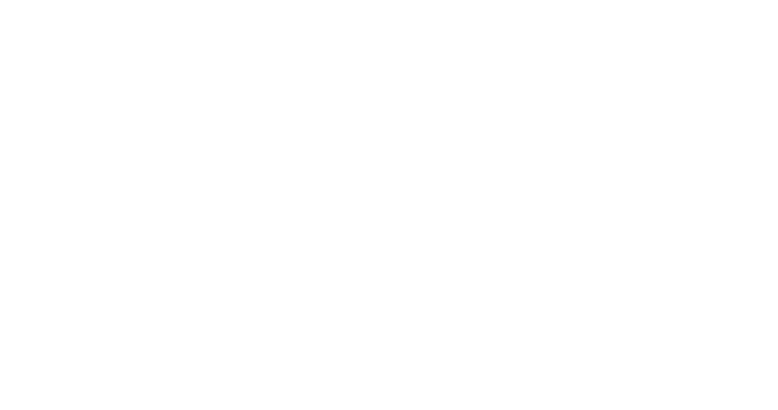 Midnight Fight Express