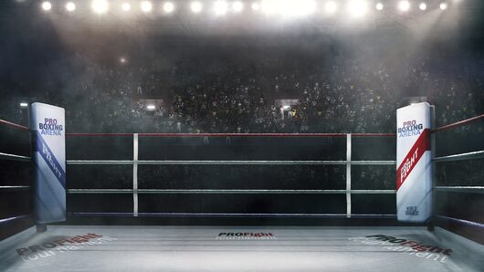 Manny Boxing VR for playstation