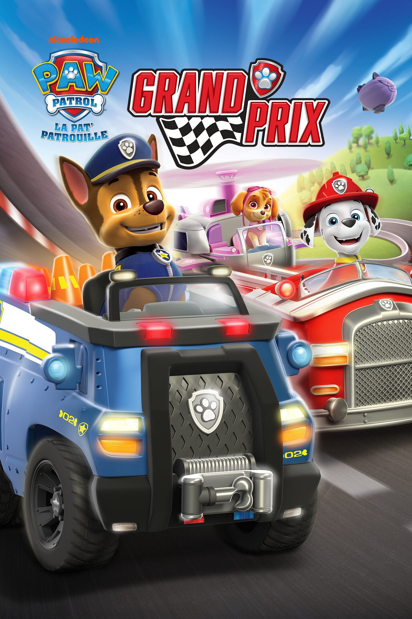 Pat patrouille chase sa voiture de course ready race paw patrol