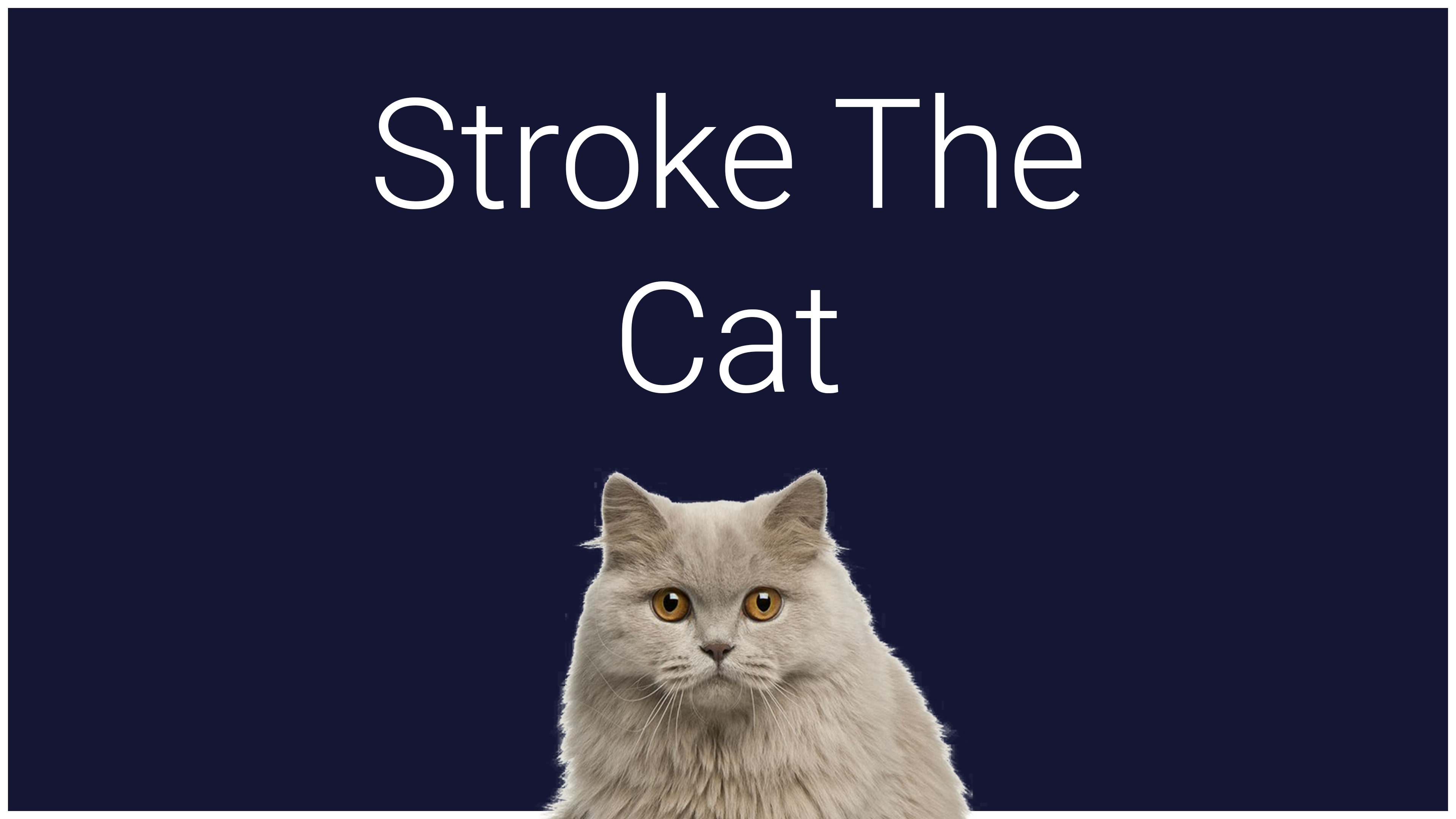 Stroke The Cat
