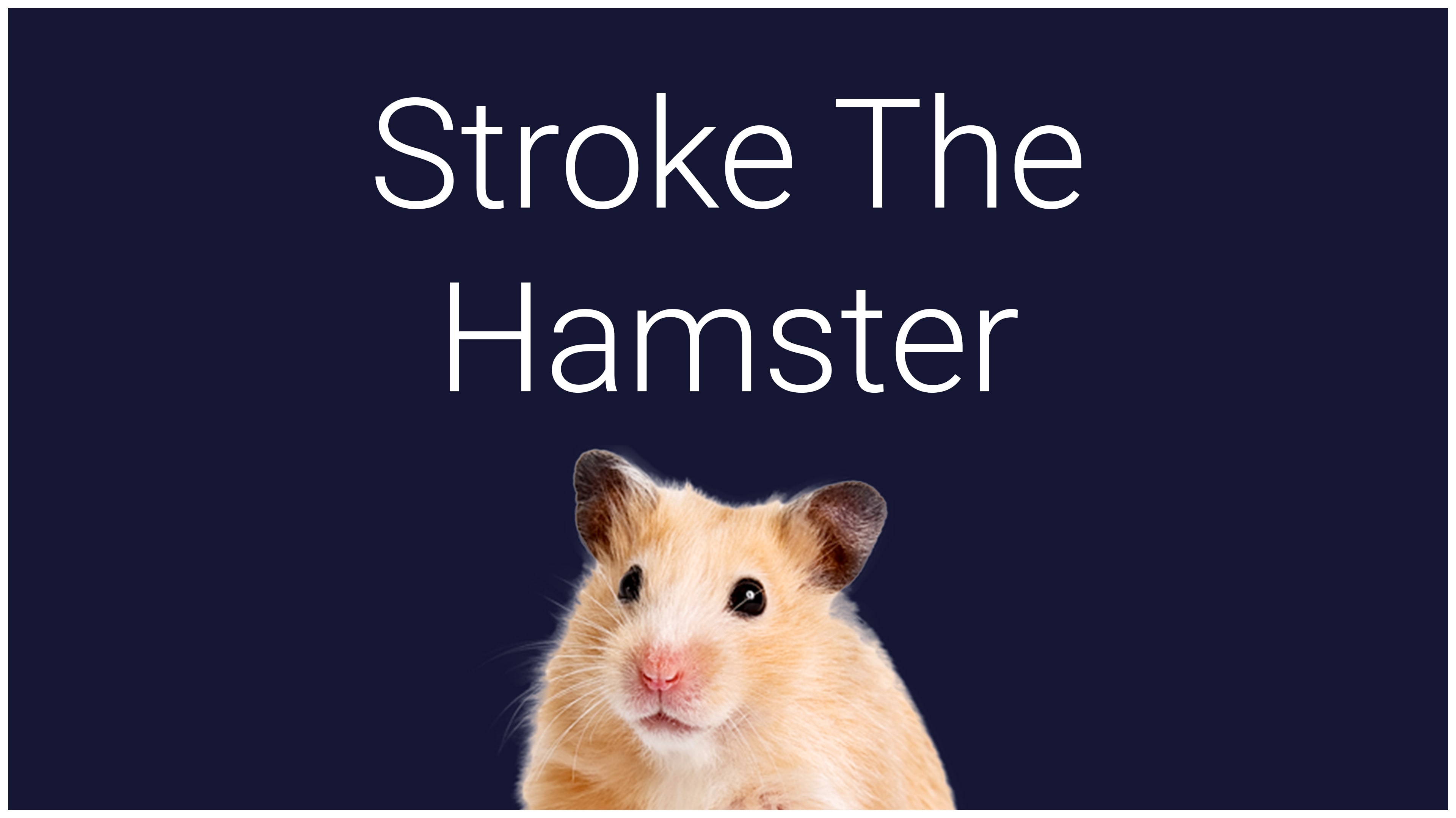 Stroke The Hamster