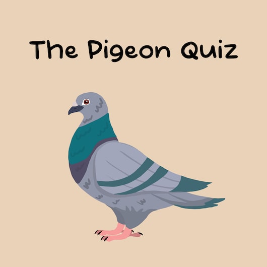 The Pigeon Quiz for playstation