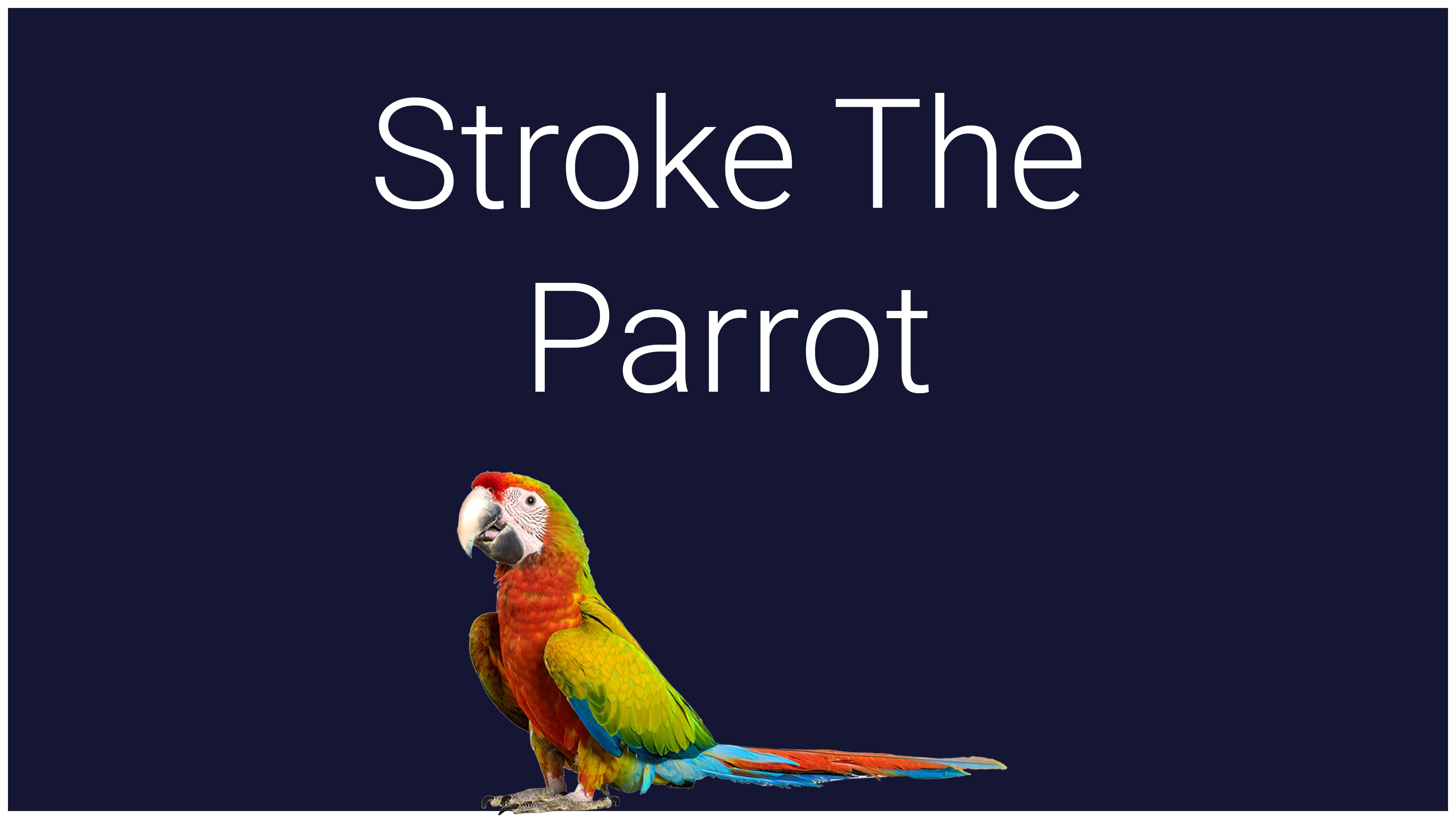 Accarezza il pappagallo