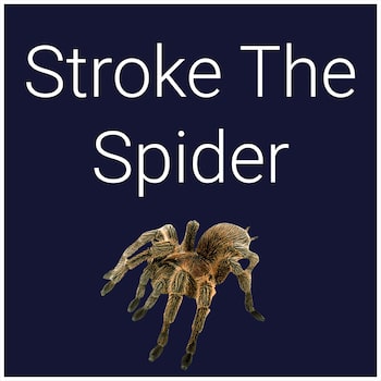 Stroke The Spider