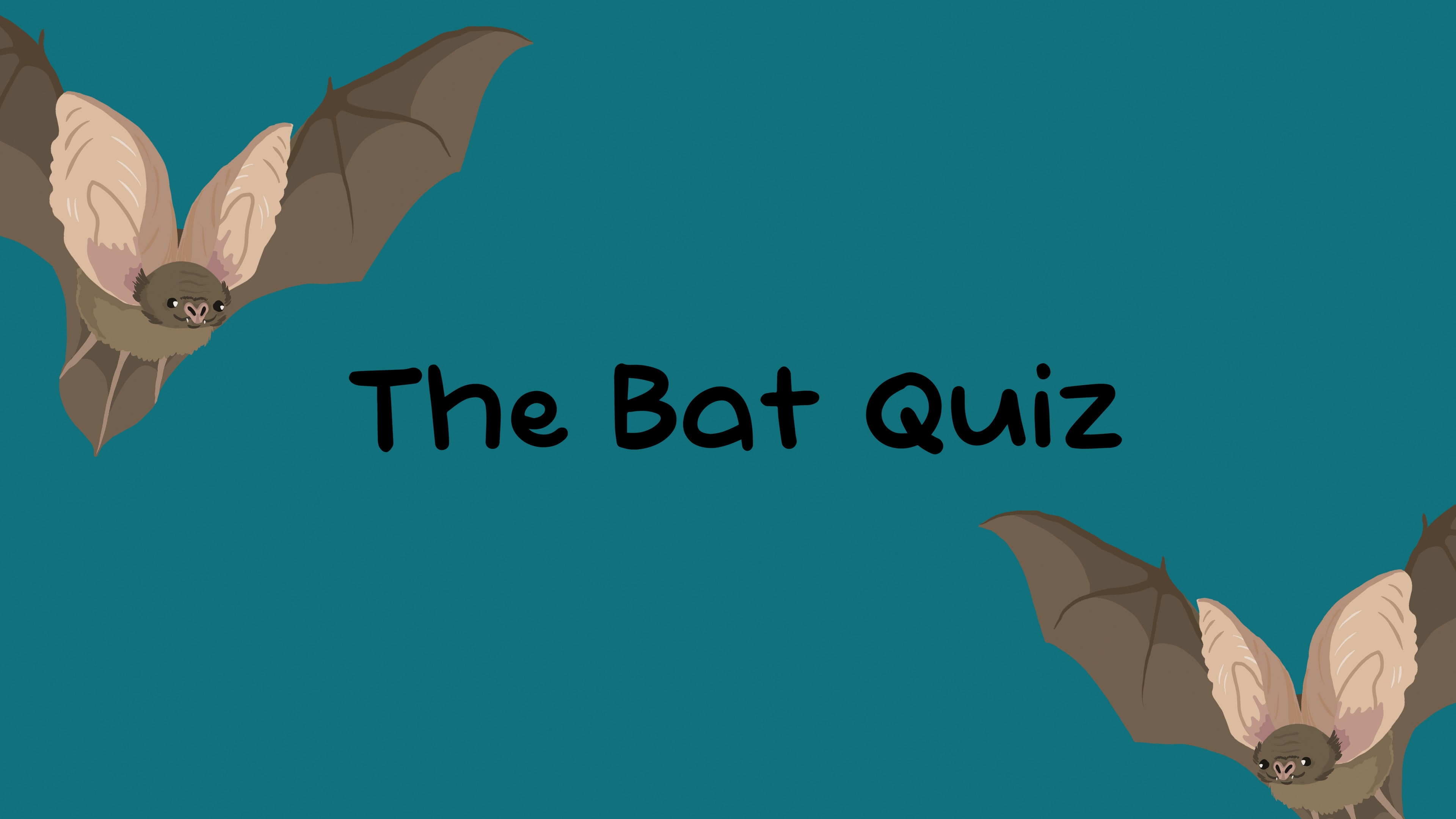The Bat Quiz