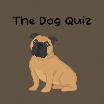 The Dog Quiz