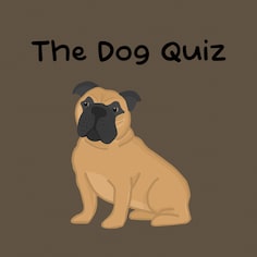 The Dog Quiz (英语)