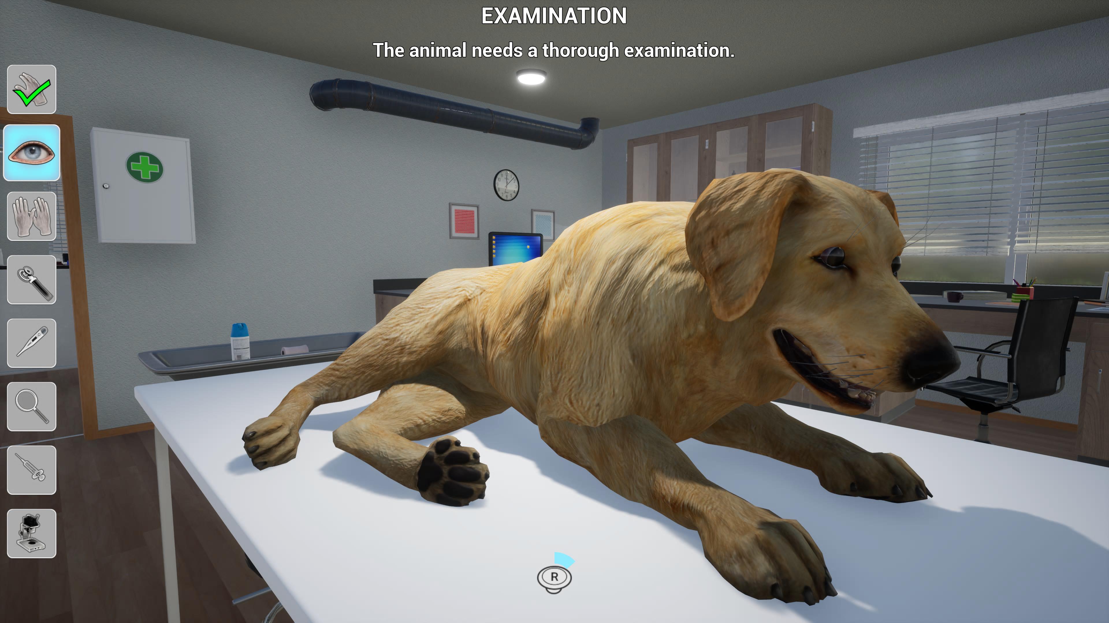 Jogo de simulação de veterinário, crie sua clínica e salve os animais  doentes. Jogo grátis na Internet