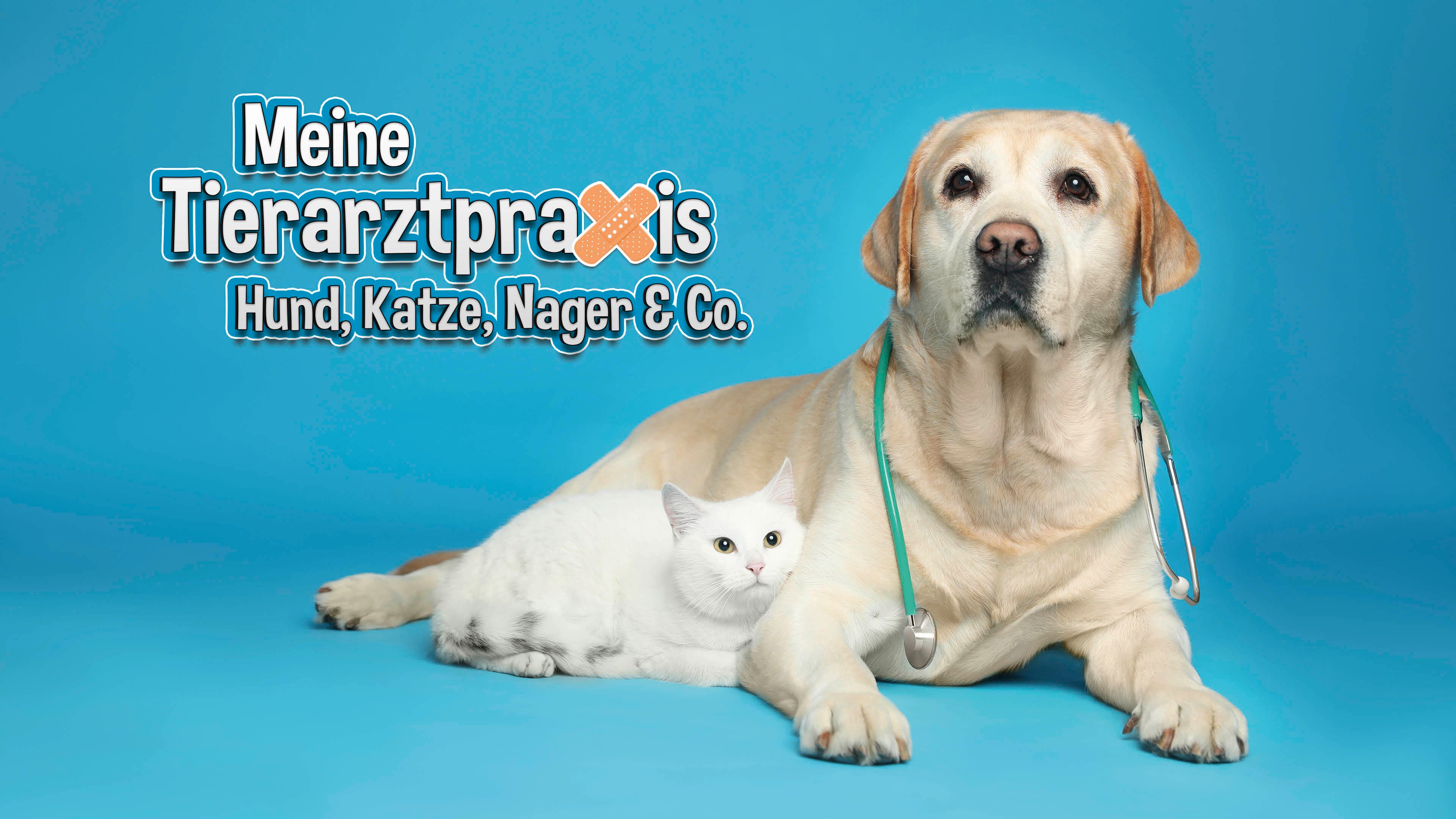 Meine Tierarztpraxis - Hund, Katze, Nager & Co.