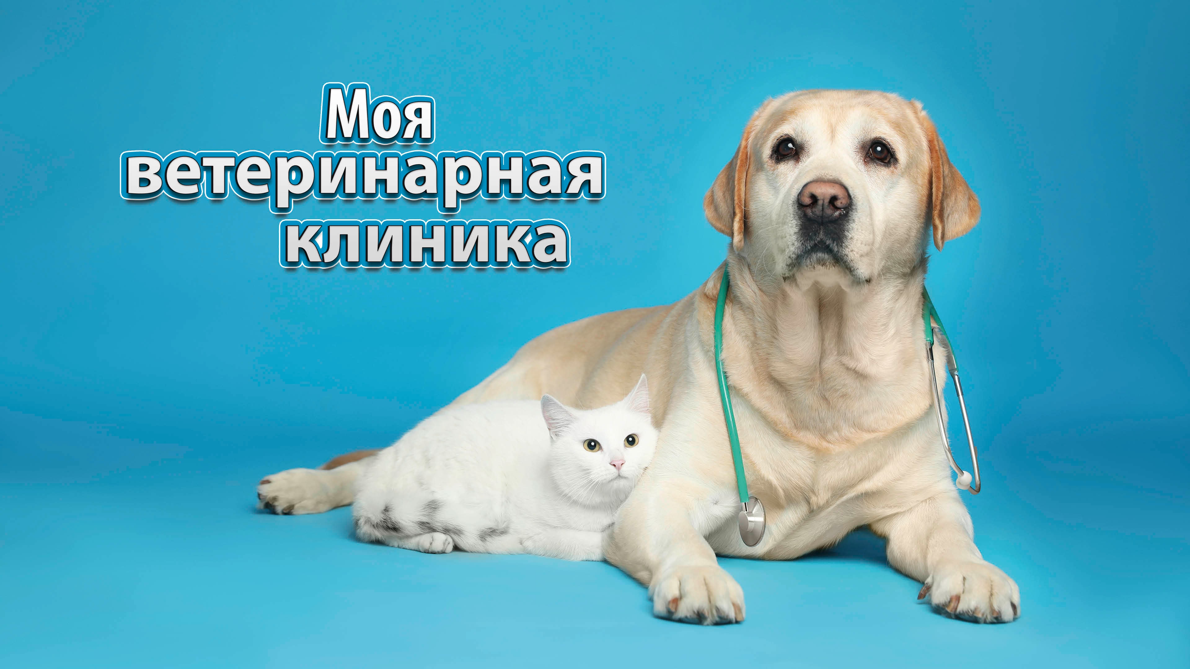 Моя ветеринарная клиника