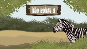 The Zebra Z
