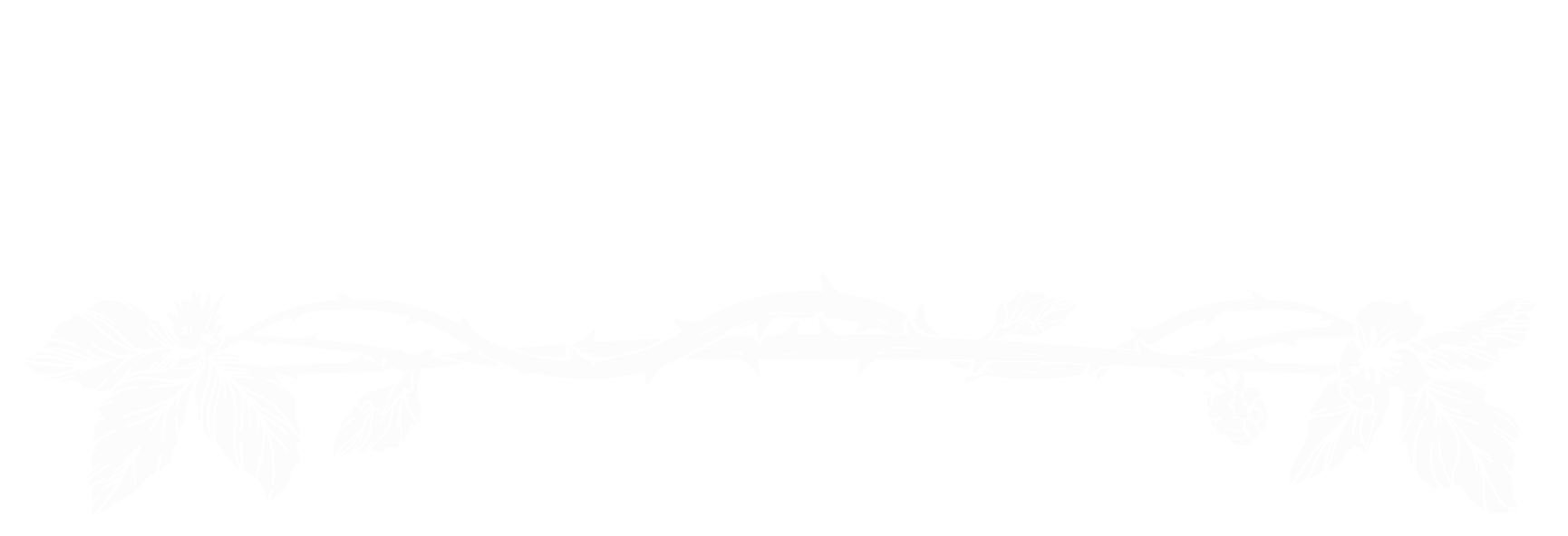 Bramble: King Mountain The