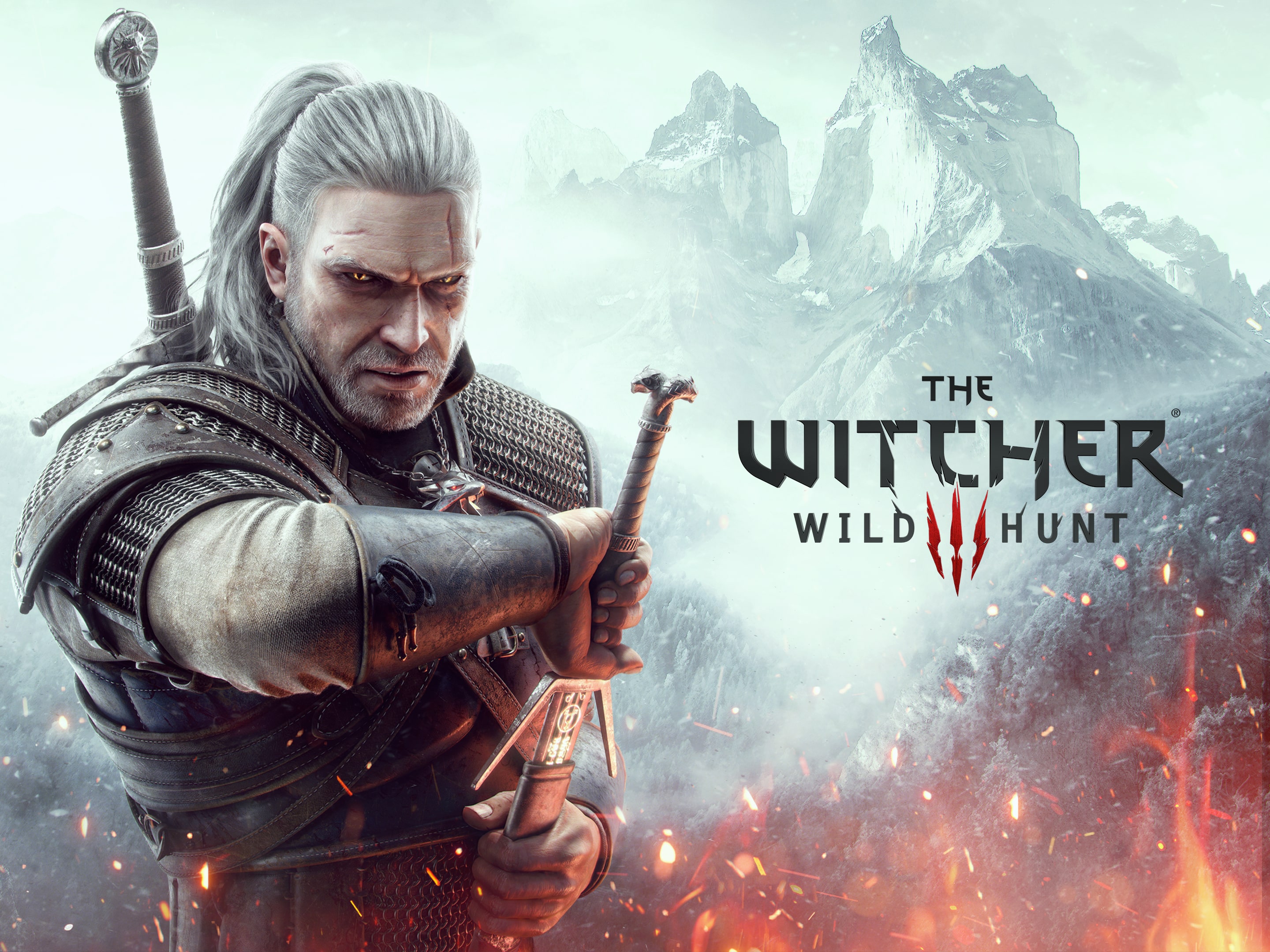 The Witcher Wild Hunt (Sony PlayStation 4, 2017) REGION 2