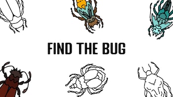 Find the Bug