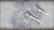 Monster Hunter Rise - "Canyne Tail" – Metsästäjän kerroshaarniskan osa