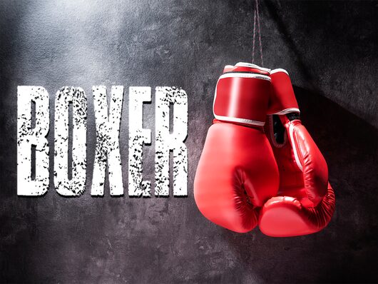 Boxer for playstation