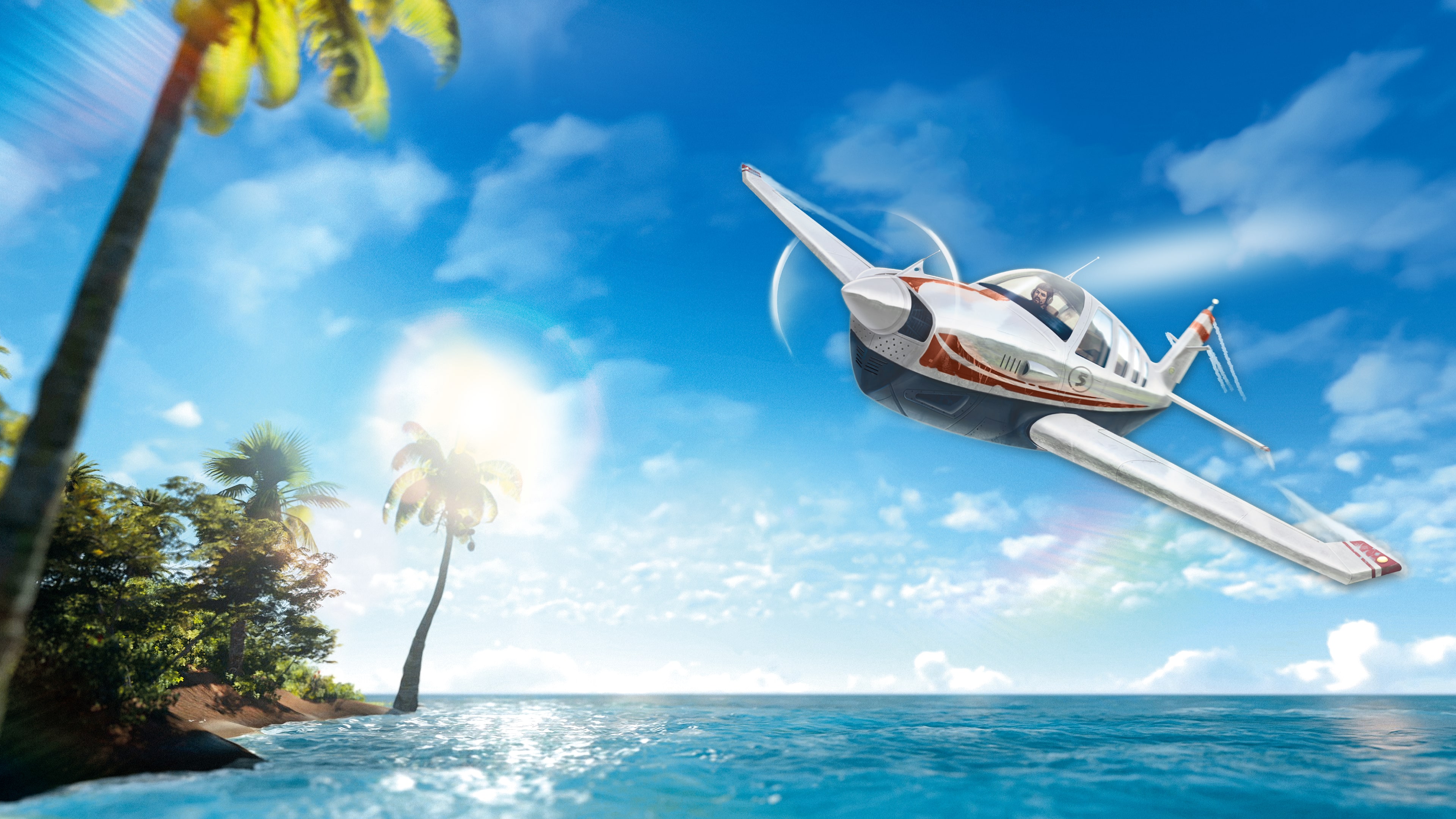 Island Flight Simulator