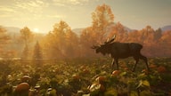 TheHunter Call Of The Wild New England Mountains