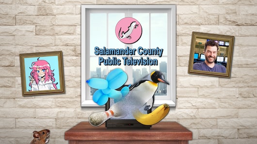 Salamander County Public Television PS4™ & PS5™ for playstation