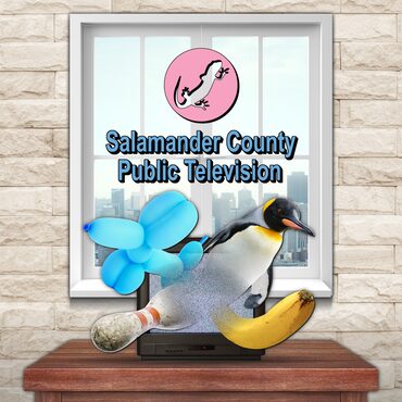 Salamander County Public Television PS4™ & PS5™ cover image