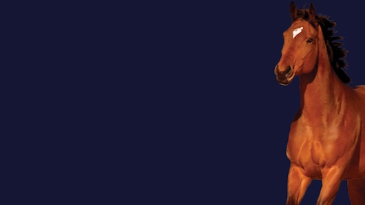 Stroke The Horse for playstation