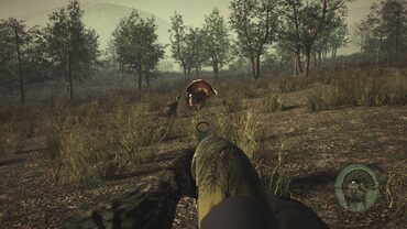 Pro Turkey Hunting