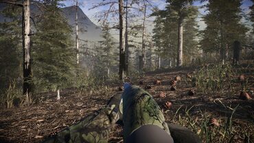 Pro Turkey Hunting