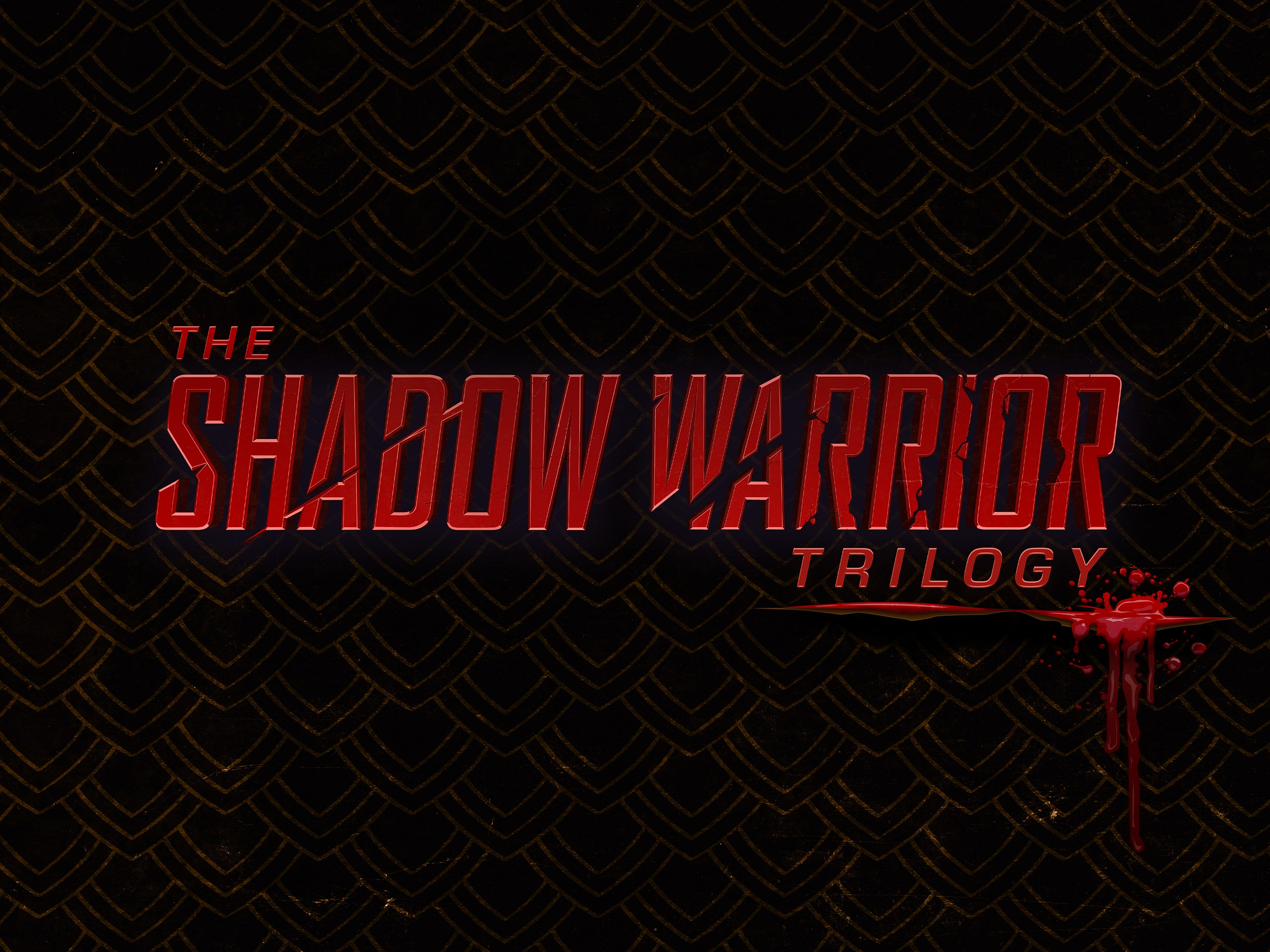 Shadow Warrior Definitive Edition PS4 FR Game In EN-FR-DE-ES-IT-JP-CH NEW