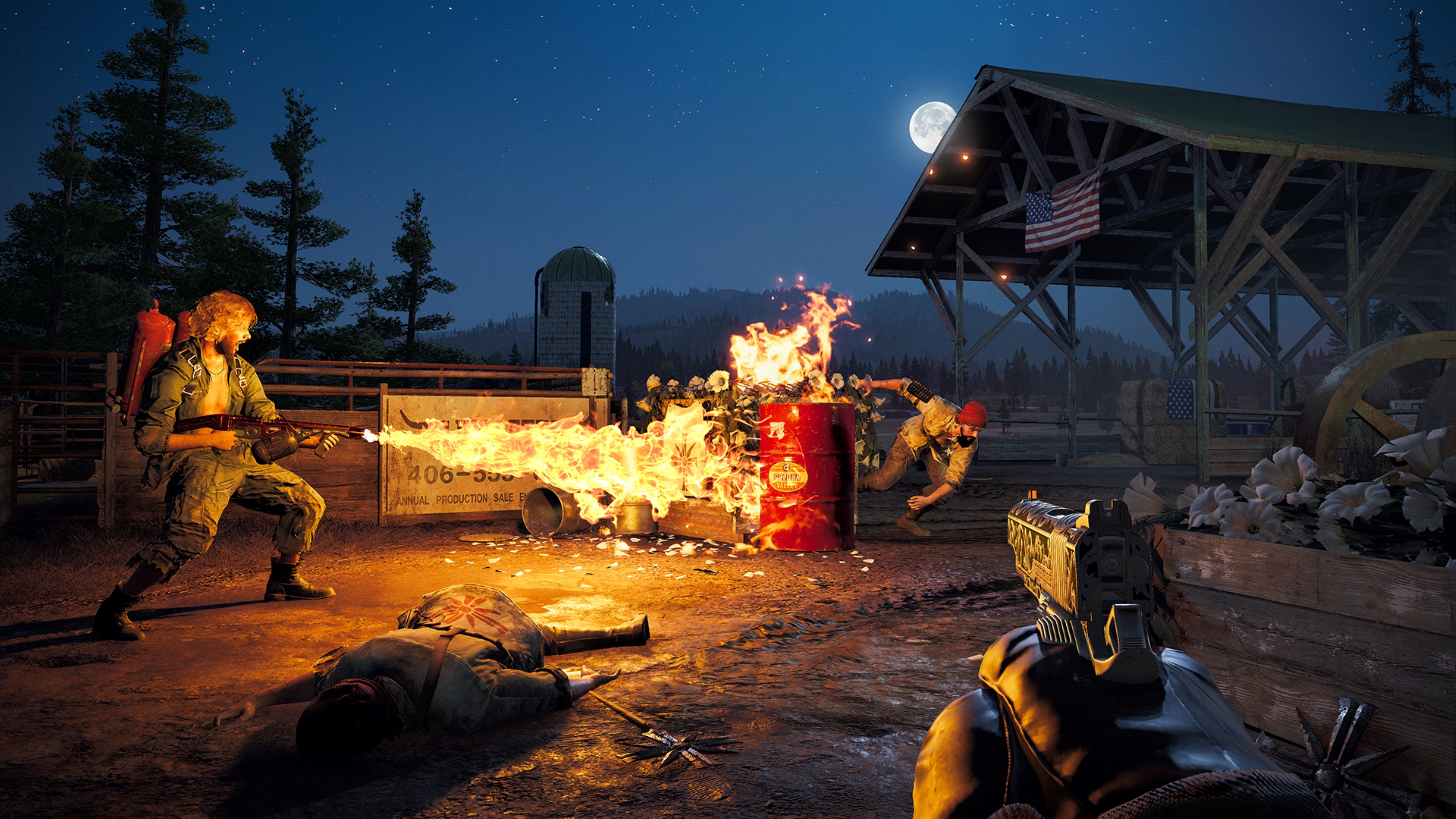 Far Cry 5 Details Far Cry Arcade