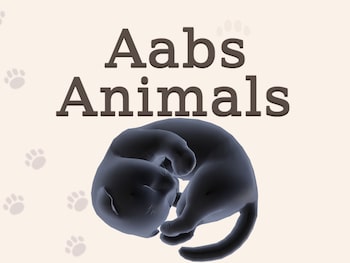 Aabs Animals