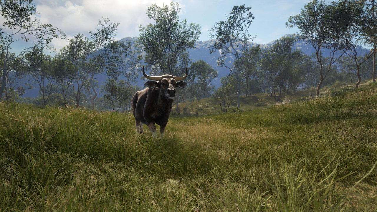 theHunter Call of the Wild™ Emerald … PS4 Price, Deals in JP