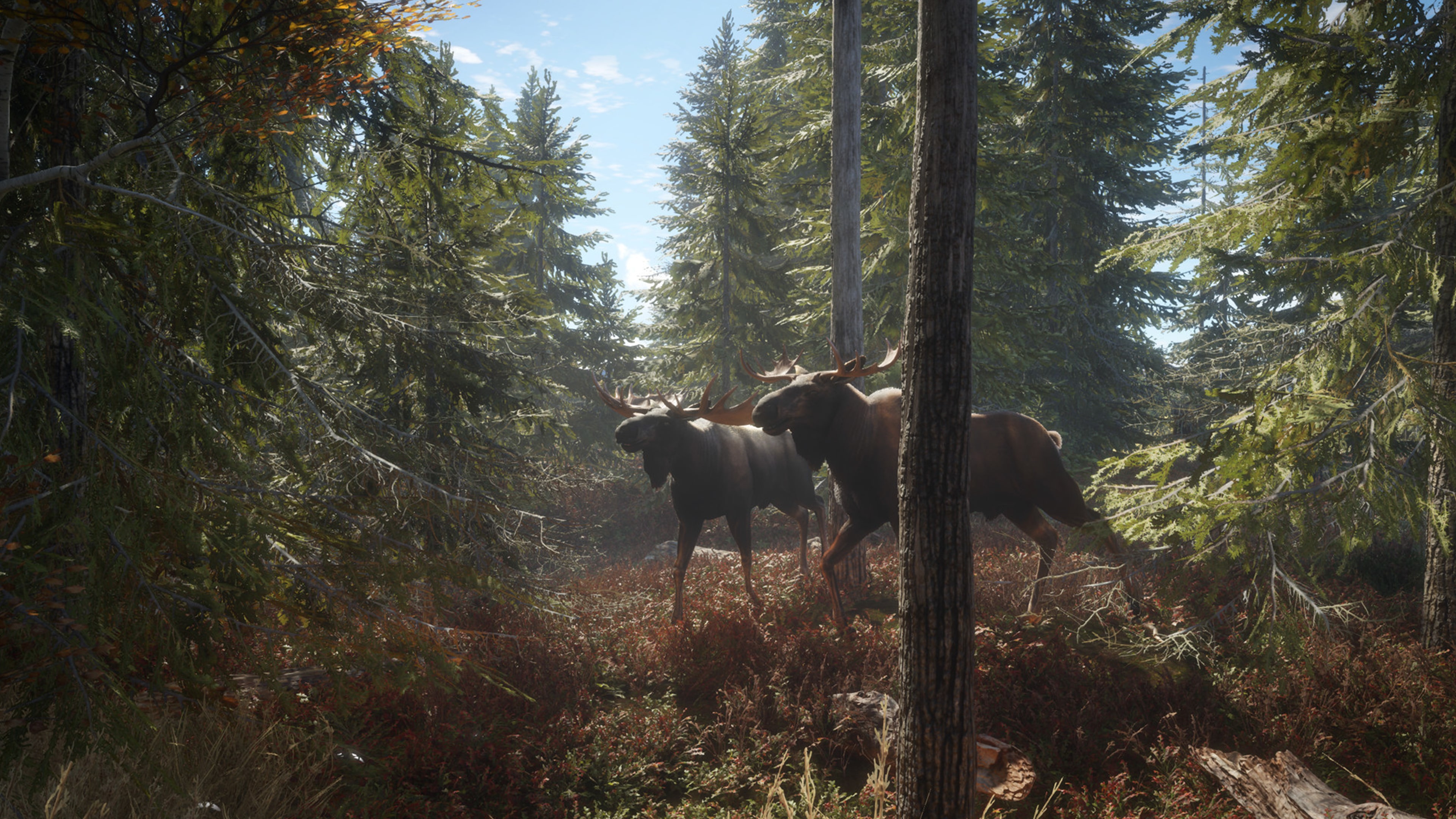 theHunter: Call of the Wild™