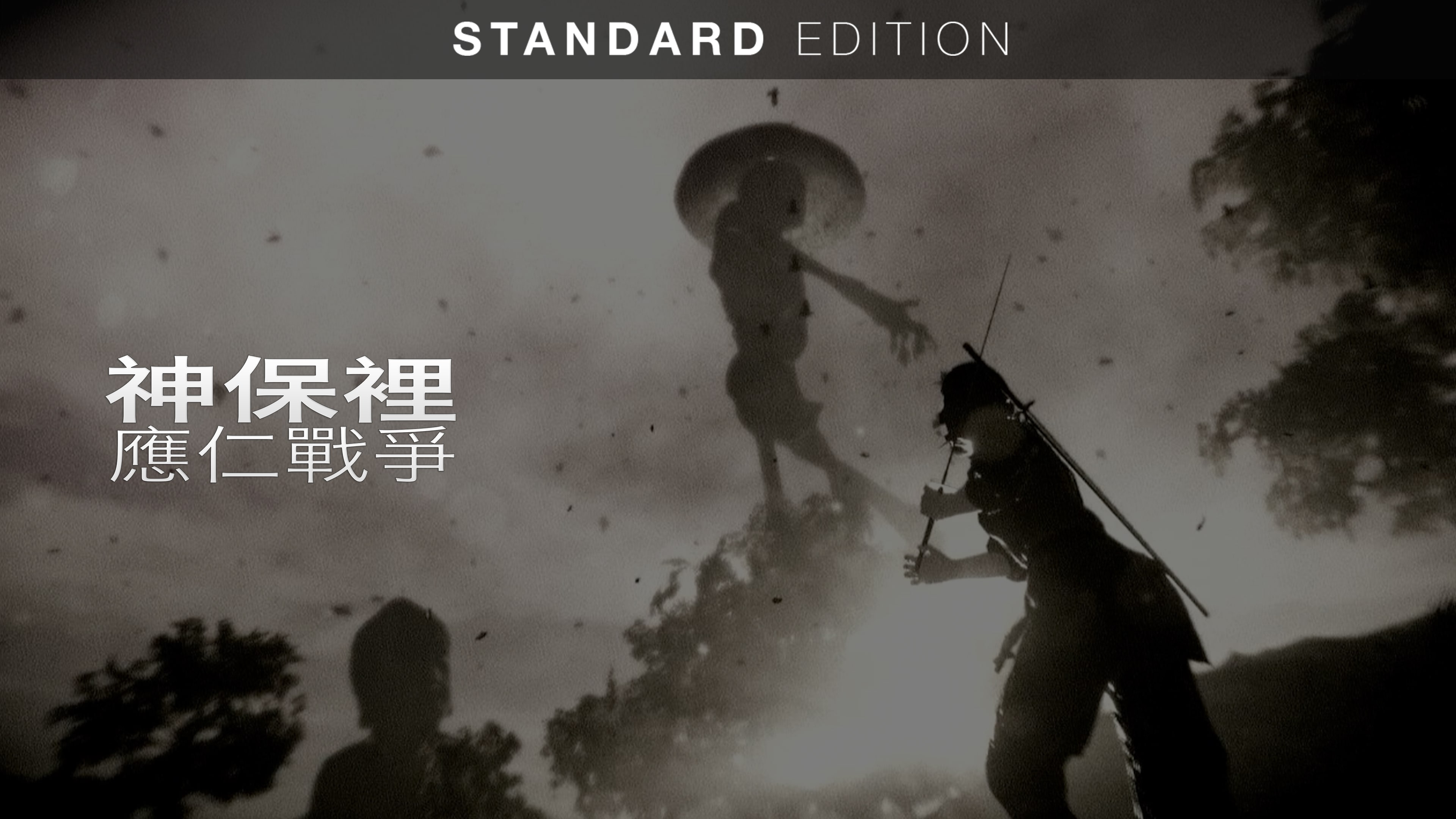 標準版