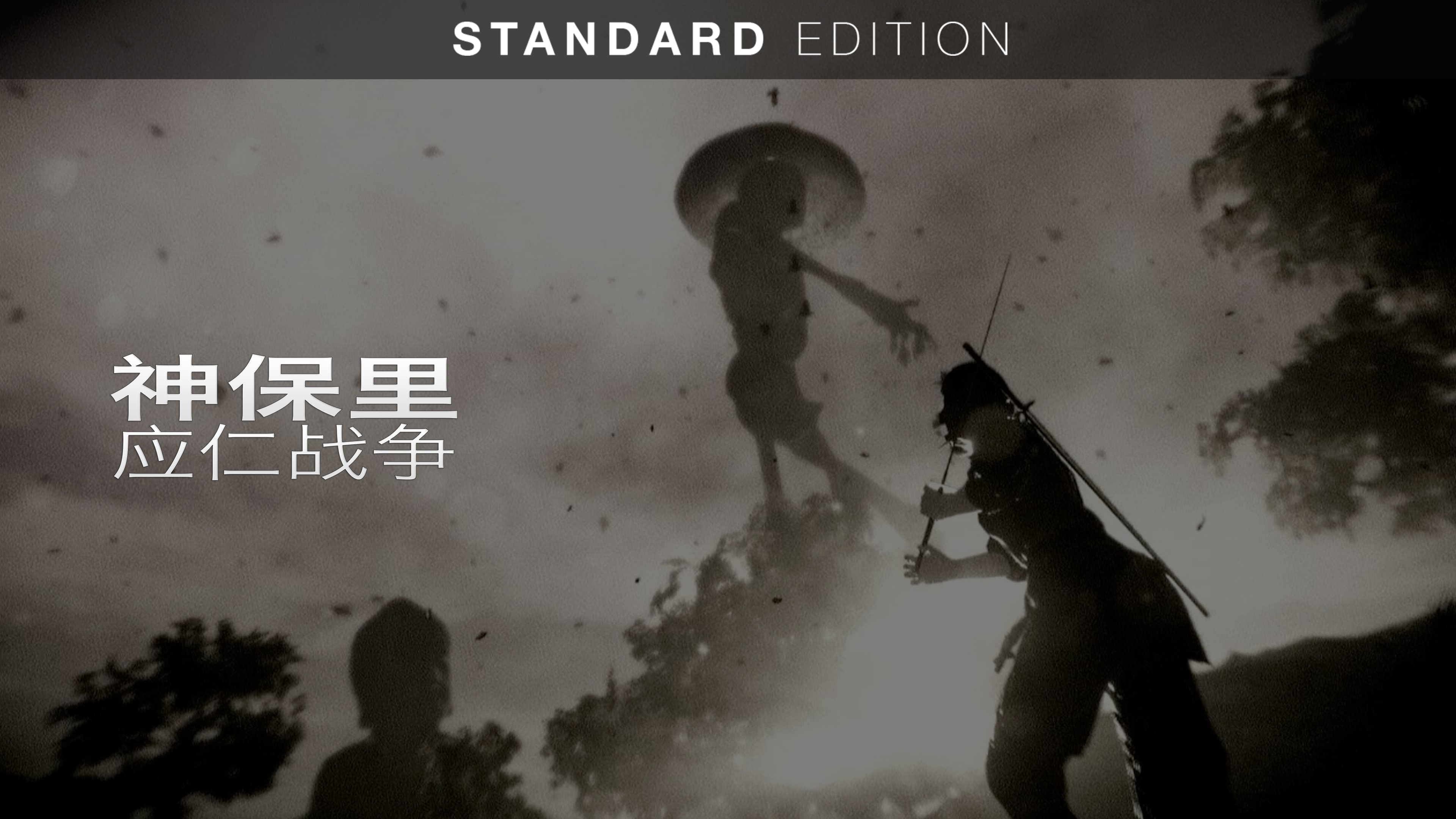 标准版