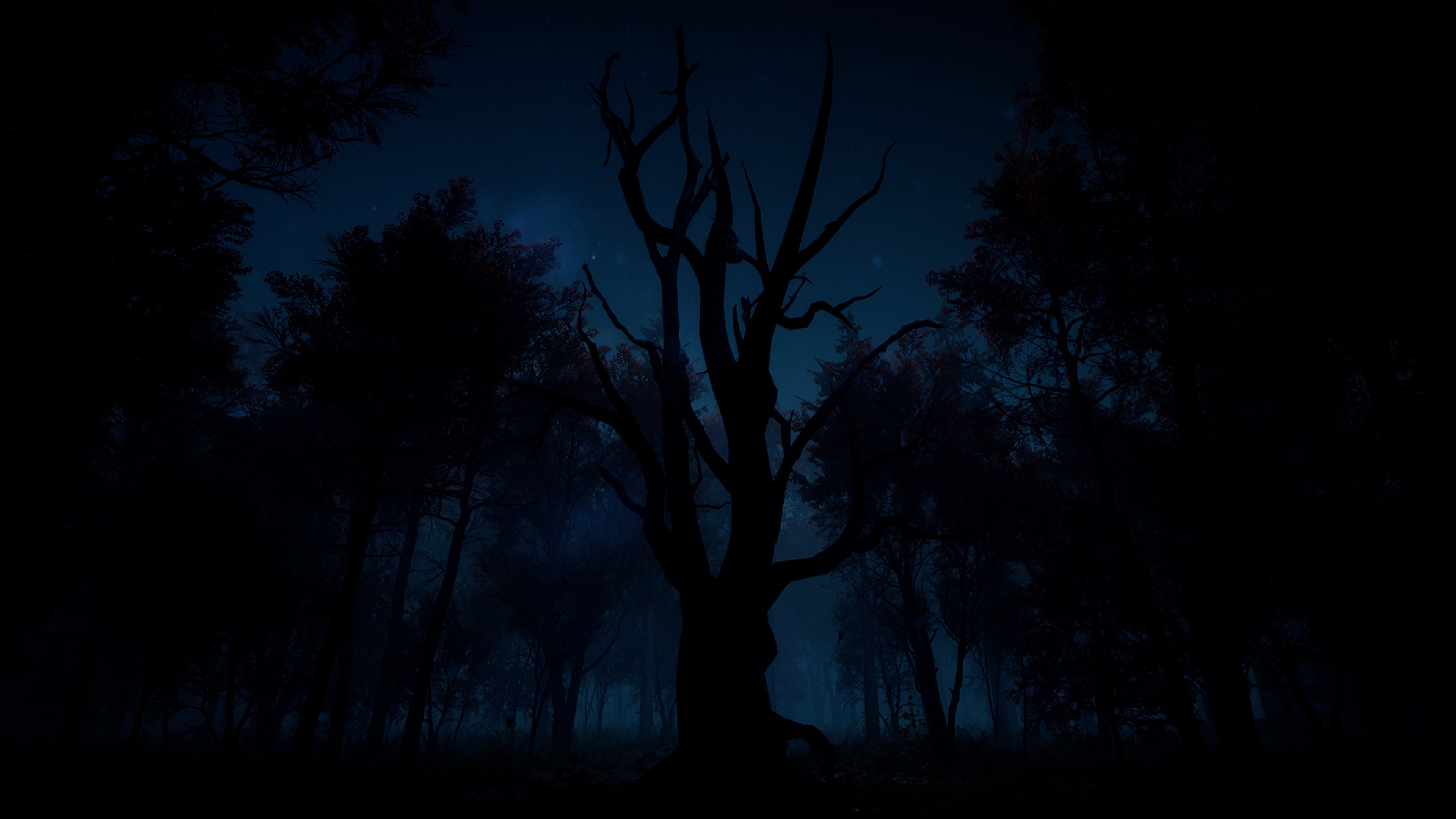 #6. Slender: The Arrival (PlayStation) Podle: Blue Isle Studios